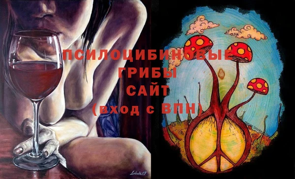apvp Приозерск