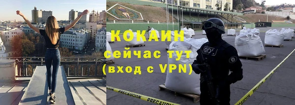 мет Протвино