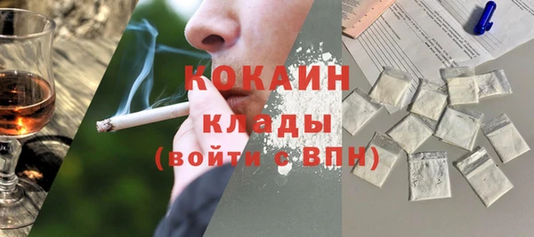 мет Протвино
