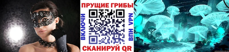 купить закладку  Аксай  Галлюциногенные грибы мицелий 