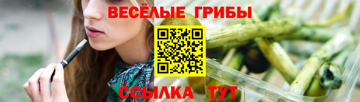 Галлюциногенные грибы Cubensis Аксай